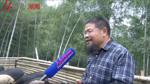 人民网