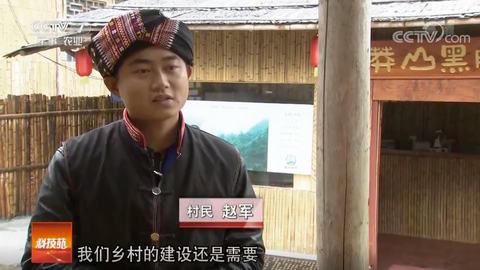 猪鸡搭伴