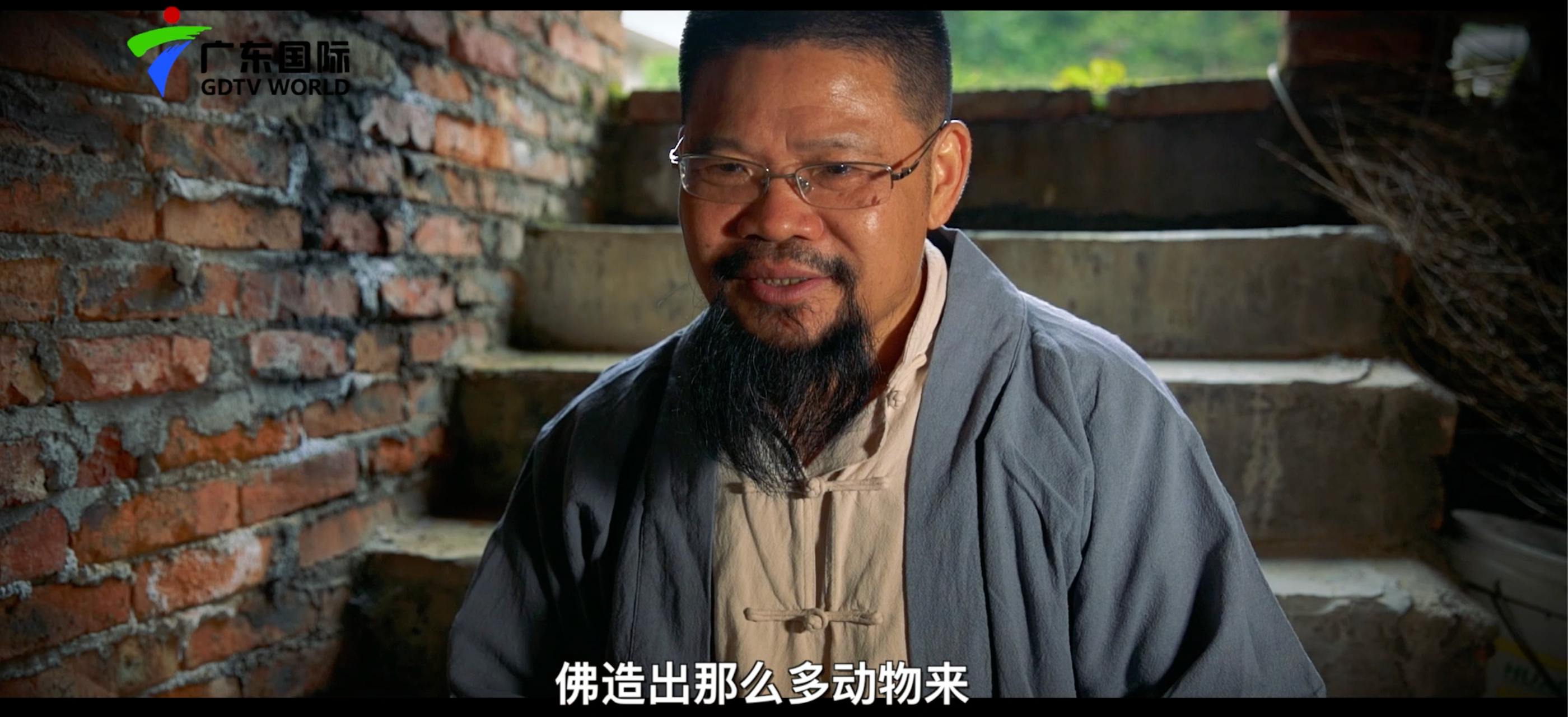 广东卫视 金牌律师的养猪路